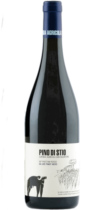 サン・サルヴァトーレ 1988 / ピノ・ディ・スティオ 2016
