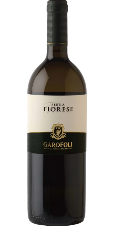 ガロフォリ / セッラ フィオレーゼ ヴェルディッキオ・デイ・カステッリ・ディ・イエージ クラッシコ リゼルヴァ 2019