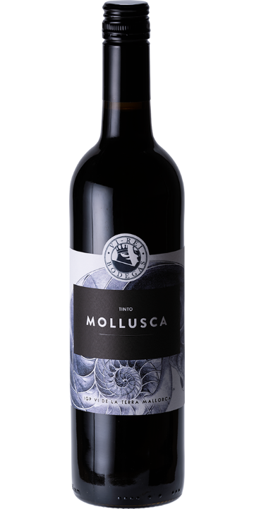 ボデガス・ヴィ・レイ / モルスカ ティント 2021