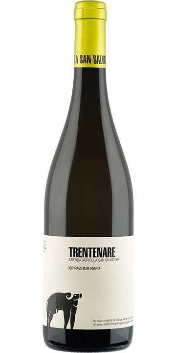 サン・サルヴァトーレ 1988 / トレンテナーレ ペスチュム フィアーノ 2022