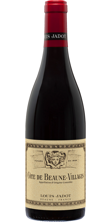 ルイ・ジャド / コード・ド・ボーヌ・ヴィラージュ 2021