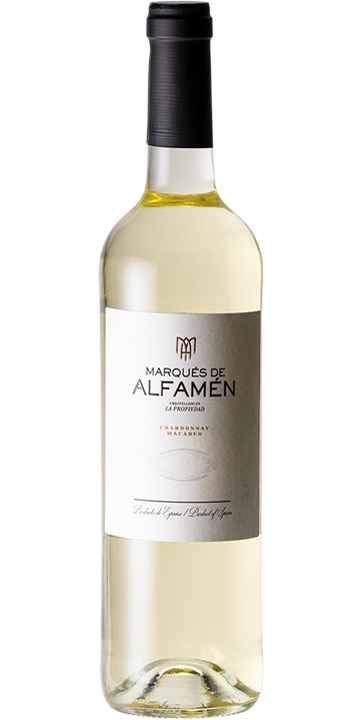 ボデガス・エステバン・マルティン / マルケス・デ・アルファメン ブランコ 2023