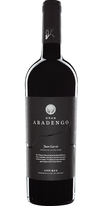 ボデガス・リベラ・デ・ペラサス / グラン・アバデンゴ 2009