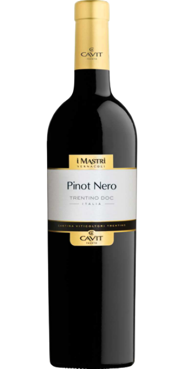 カヴィット / テラッツェ・デッラ・ルーナ ピノ・ネロ 2023