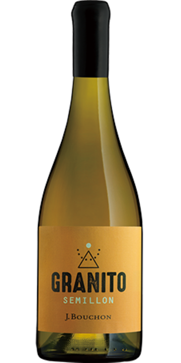 スキン / セミヨン ヴァレ・デル・マウレ 2020