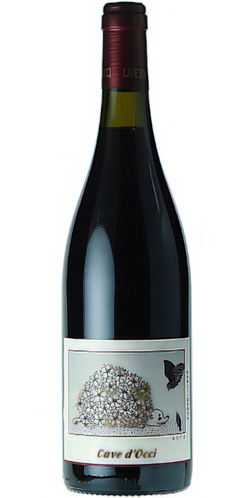 カーブドッチ / あなぐま（サンジョベーゼ） 2020