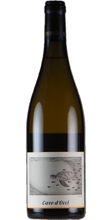 カーブドッチ / うみがめ(ソーヴィニヨン・ブラン) 2021