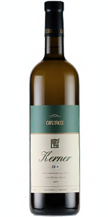 カーブドッチ / ケルナー 2020