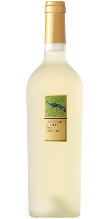 フェウディ・ディ・サン・グレゴリオ / カンパナーロ 2018