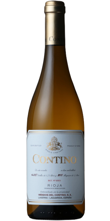 クネ / コンティノ ブランコ 2019