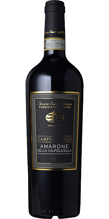 サン・アントニオ / カンポ・デイ・ジーリ アマローネ・デッラ・ヴァルポリチェッラ 2017