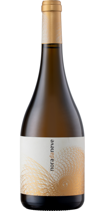 ノラ・ダ・ネーベ 2019