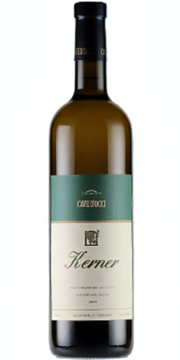 カーブドッチ / ケルナー 2022