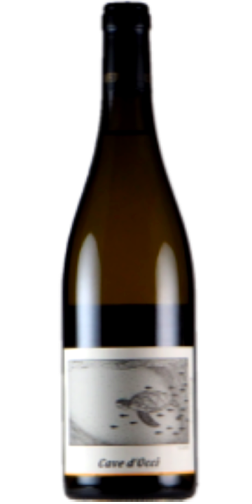 カーブドッチ / うみがめ(ソーヴィニヨン・ブラン) 2022