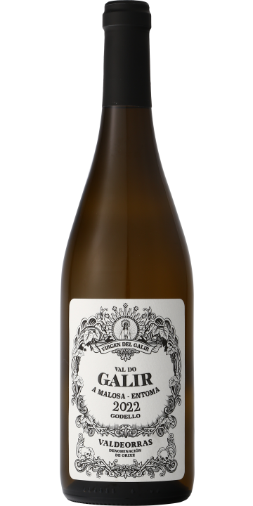 バル・ド・ガリル ゴデーリョ 2022