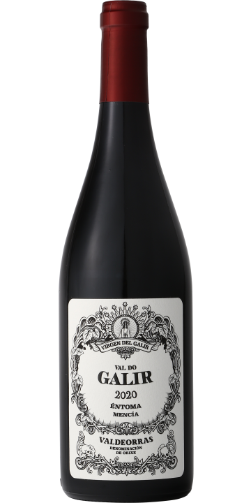 バル・ド・ガリル メンシア 2020