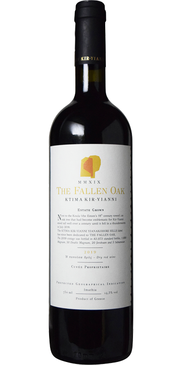 キリ・ヤーニ / ザ・フォーレン・オーク キティマ 2019