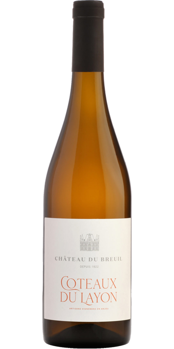 シャトー・ド・ブルイユ / コトー・デュ・レイヨン 2020