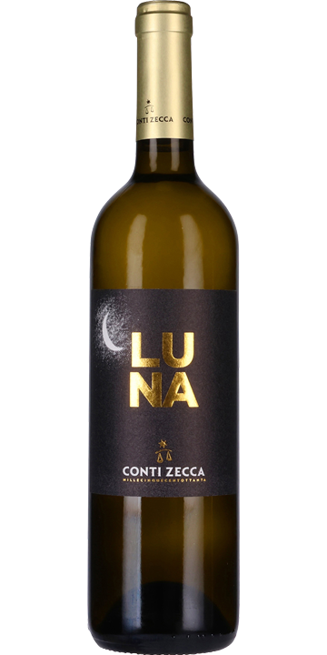 コンティ・ゼッカ ルナ 2022