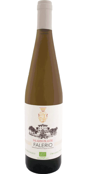 サラディーニ・ピラストリ / ファレリオ 2022