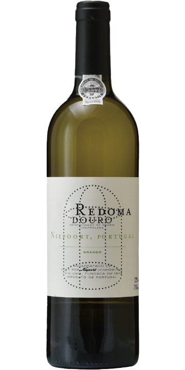 ニーポート / レドマ ホワイト 2021