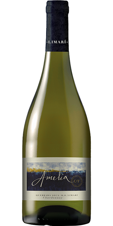 コンチャ・イ・トロ / アメリア シャルドネ 2021