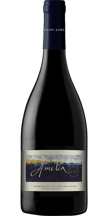 コンチャ・イ・トロ / アメリア ピノ・ノワール 2021