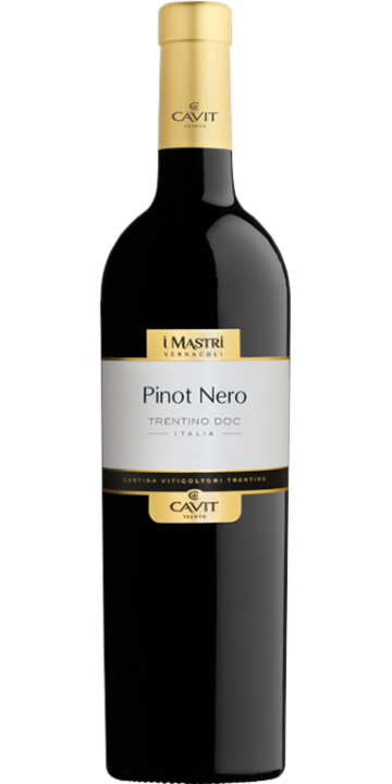 カヴィット / トレンティーノ ピノ・ネロ マストリ・ヴェルナコリ 2021