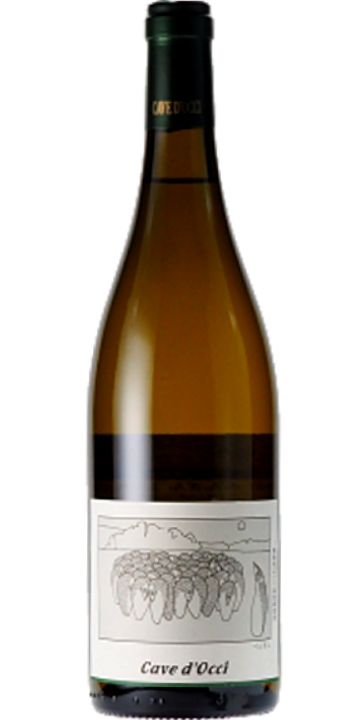 カーブドッチ / ぺんぎん(ケルナー) 2023