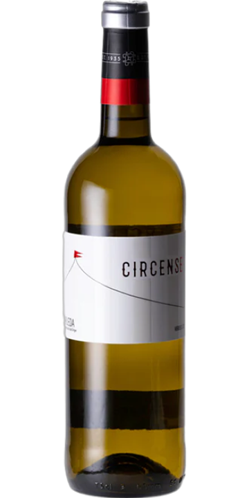 ボデガス・クアトロ・ラヤス / シルセンス 2023