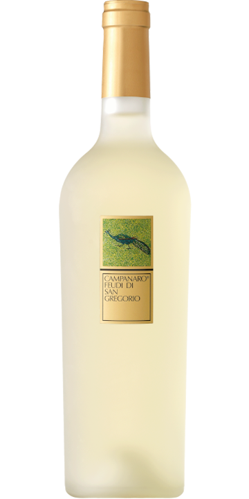 フェウディ・ディ・サン・グレゴリオ / カンパナーロ 2021