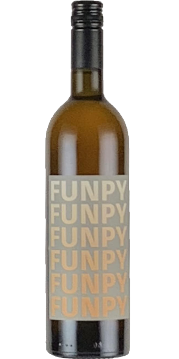 カーブドッチ / ファンピー オレンジ 2023