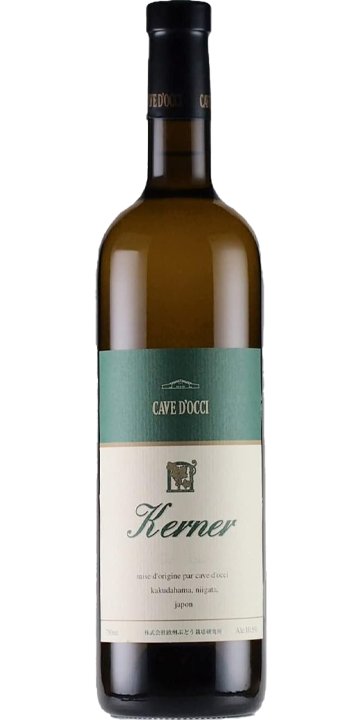 カーブドッチ / ケルナー 2023