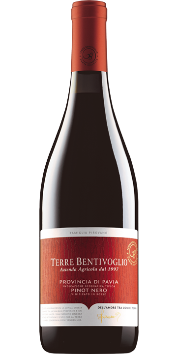 カンティネ・ピローヴァノ / テッレ・ベンティヴォーリオ ピノ・ネロ 2022