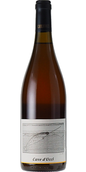 カーブドッチ / いっかく（オレンジ） 2023