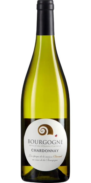 ジャン・マルク・ブロカール / ブルゴーニュ ブラン 2022