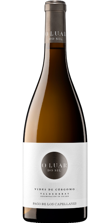 オ・ルアール・ド・シル ゴデージョ コルゴモ 2021