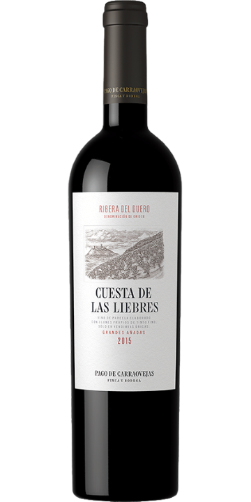 クエスタ・デ・ラス・リエブレス 2015