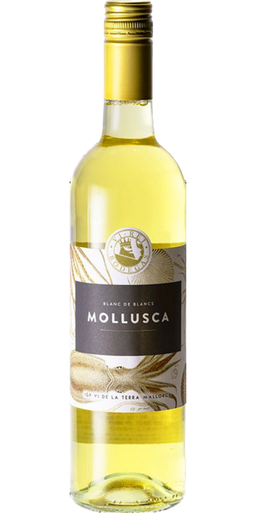 ボデガス・ヴィ・レイ / モルスカ ブランコ 2021