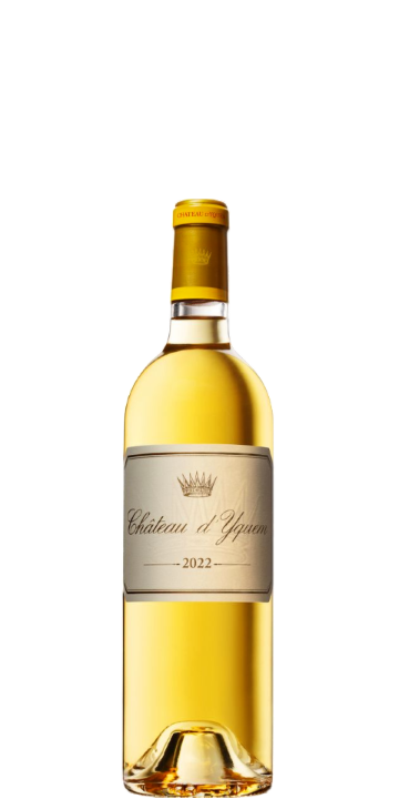 シャトー・ディケム 375ml 2022