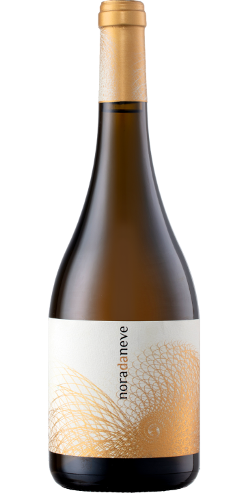 ノラ・ダ・ネーベ 2022