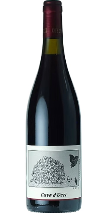 カーブドッチ / あなぐま（サンジョベーゼ） 2023