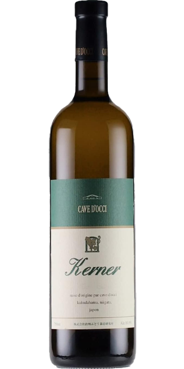 カーブドッチ / ケルナー 2024