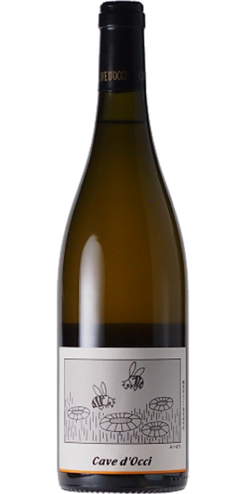 カーブドッチ / みつばち(シュナン・ブラン) 2024