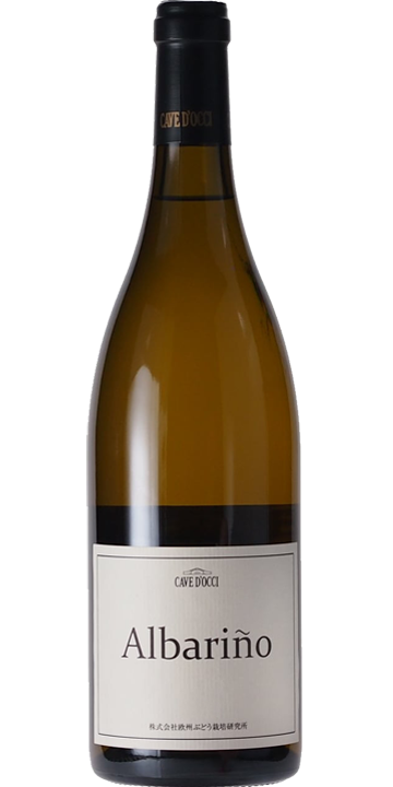 カーブドッチ / アルバリーニョ 2024