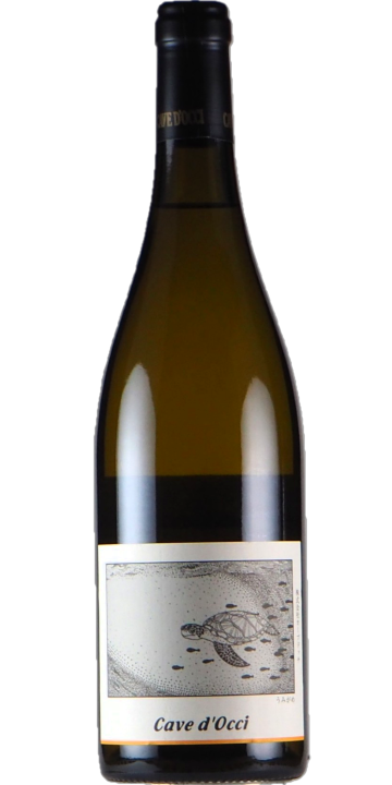 カーブドッチ / うみがめ(ソーヴィニヨン・ブラン) 2024