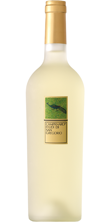 フェウディ・ディ・サン・グレゴリオ / カンパナーロ 2022