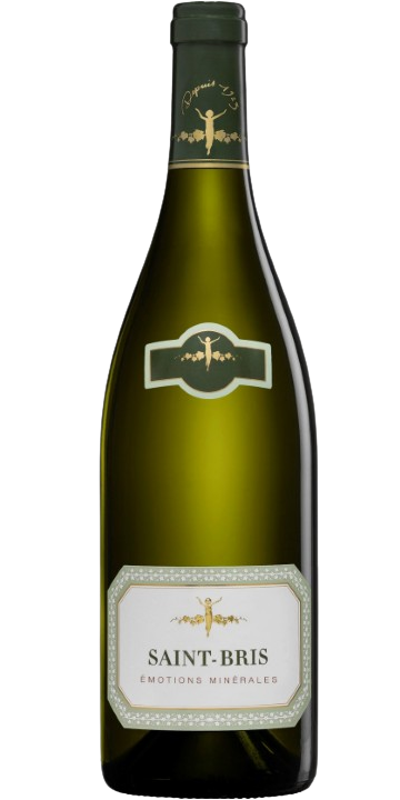 ラ・シャブリジェンヌ / サン・ブリ 2021