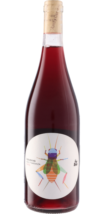 ボデガス・アスル・イ・ガランサ / スエロ・ヴィヴォ ティント 2023