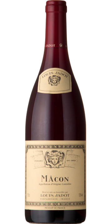 ルイ・ジャド / マコン ルージュ 2020